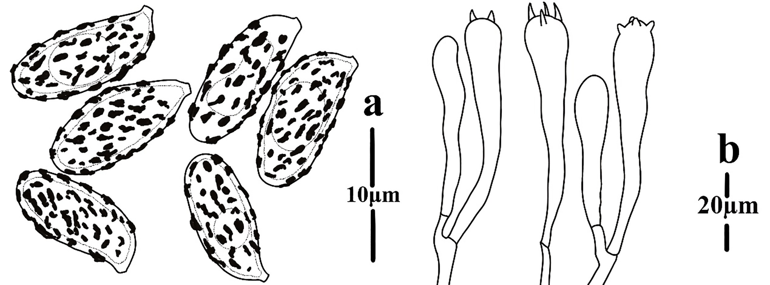 Figure 78